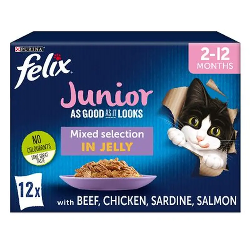 Felix Junior As Good As It Looks - Saver Pack: Mixed Selection (24 x 85g)