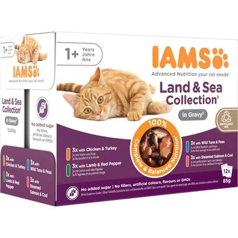 IAMS Advanced Nutrition Adult  Land & Sea Collection - in Jelly (48 x 85g)