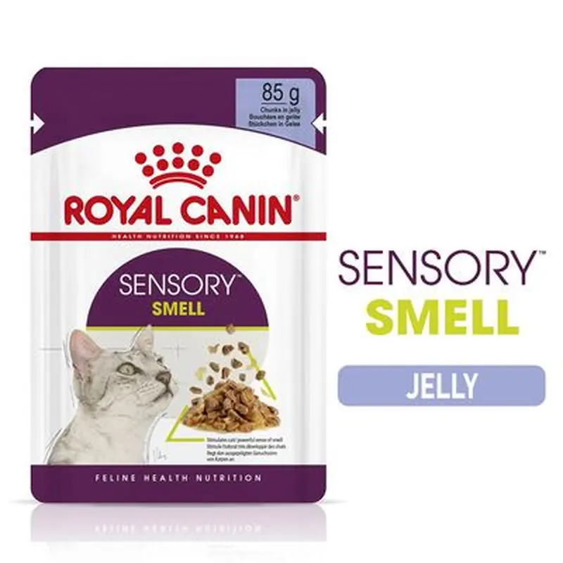 Royal Canin Sensory Smell in Jelly - 12 x 85g