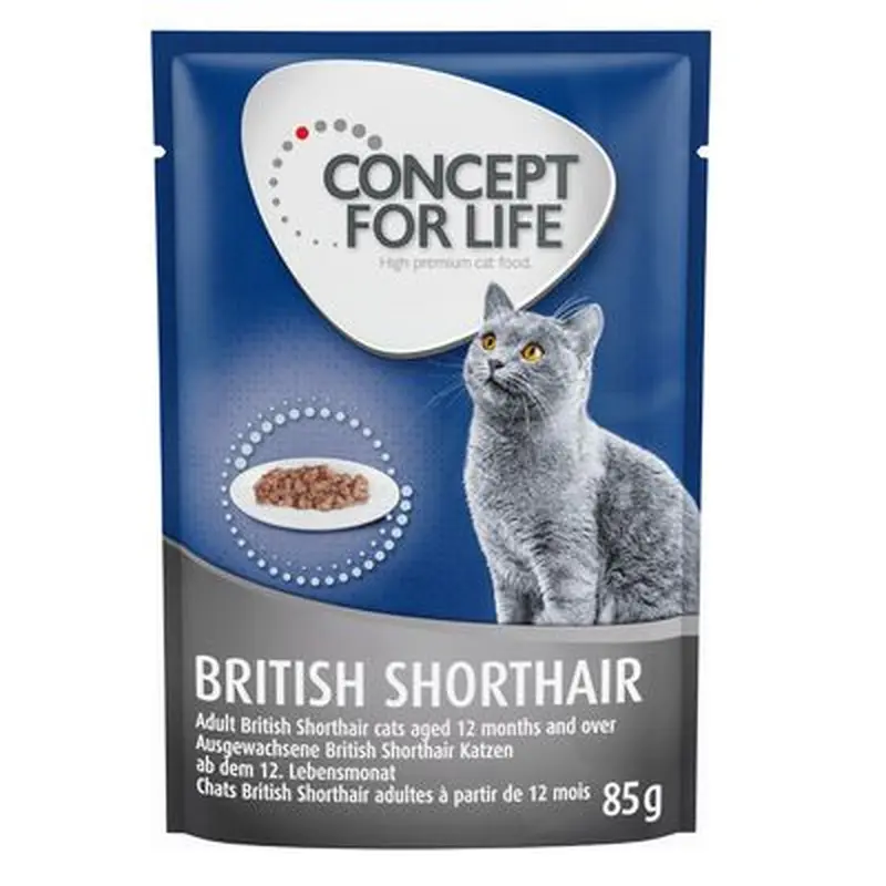 Concept for Life British Shorthair Adult - in Ragout - 12 x 85g