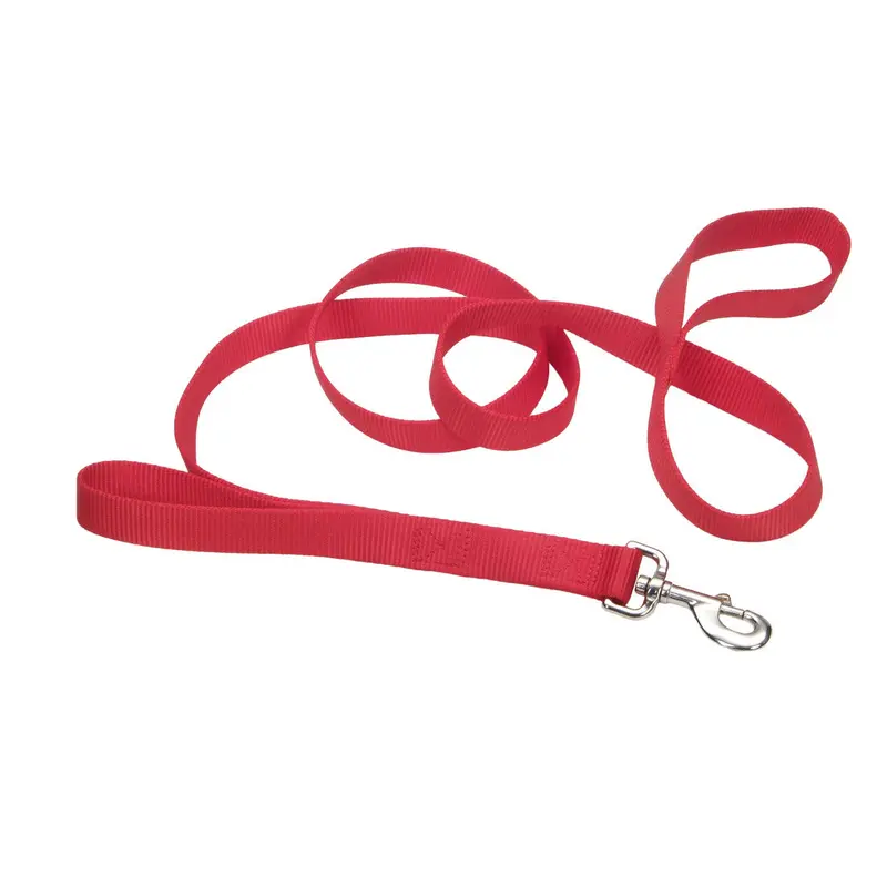 Coastal Style 906H 1" x 6' Heavy Weight Nylon Training Lead with Handle Red 