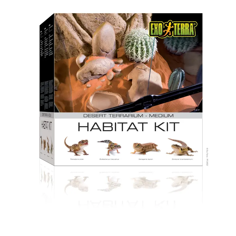 Exo Terra Desert Habitat Kit, Medium - Pt2652