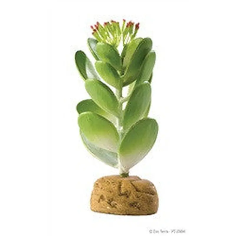 Exo Terra Plant, Jade Cactus Pt2984