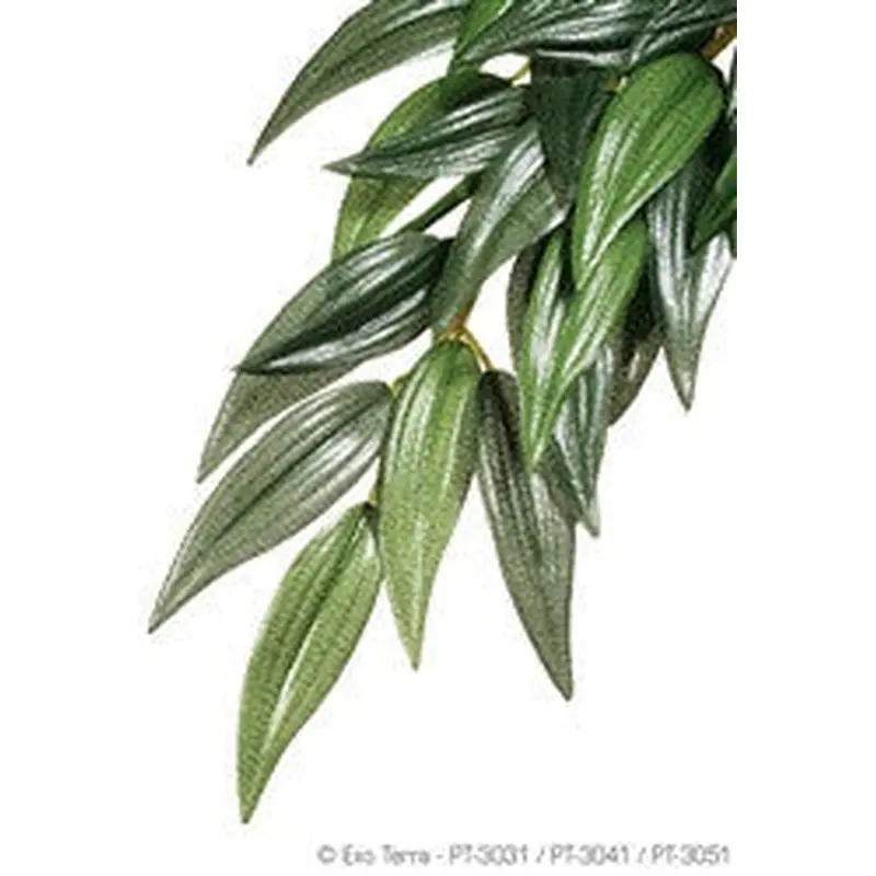 Exo Terra Silk Plant Small Ruscus Pt3031