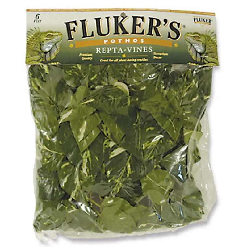 Fluker's Pothos Repta-Vines Green 6 ft