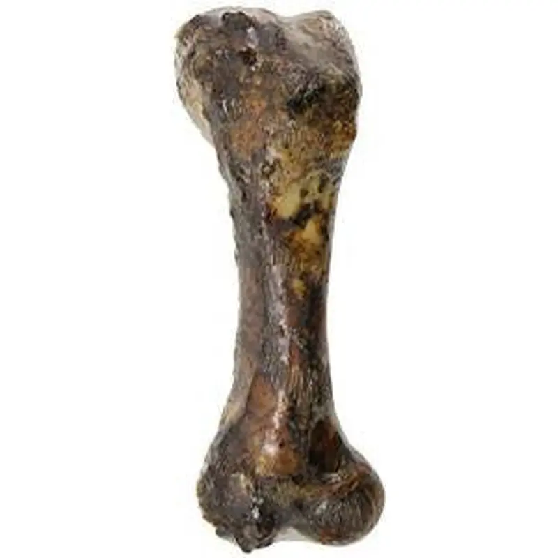 Best Buy Bones USA 8" Smoked Pork Bone 