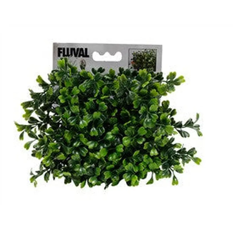 Fluval Chi Boxwood Ornament 12191
