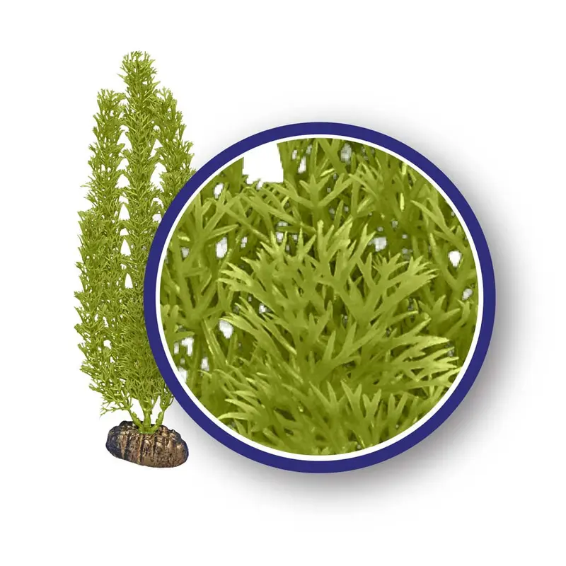 Weco Freshwater Series Foxtail Aquarium Plant Green 9 in