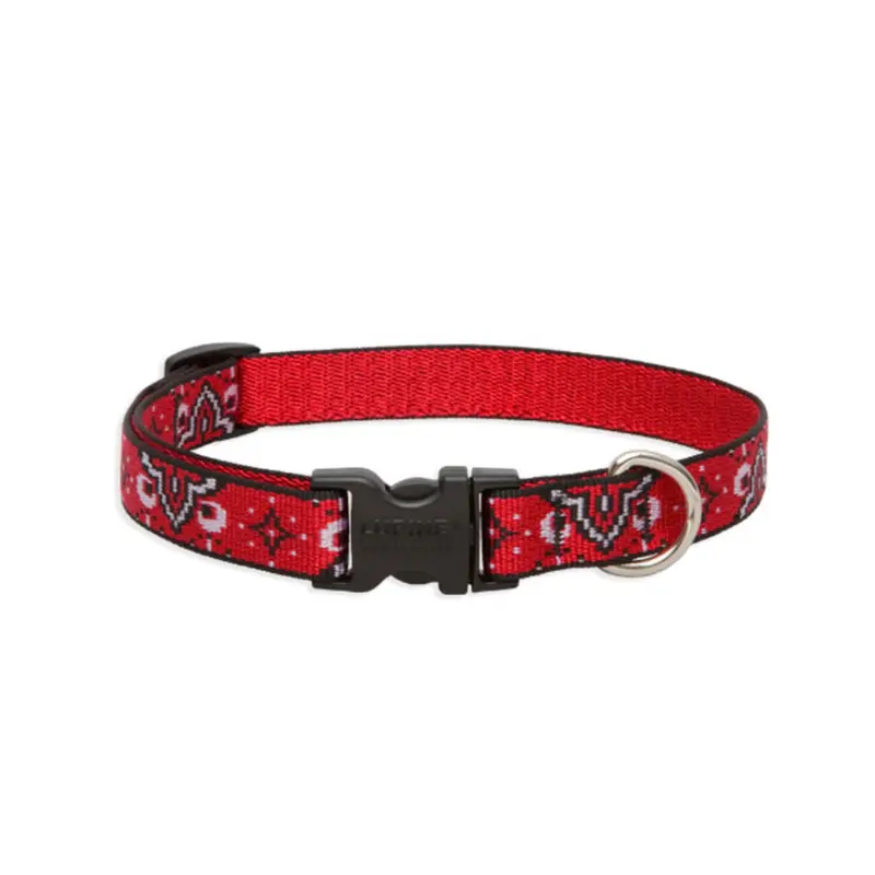 LUPINE Wild West Dog Collar, 3/4"x13-22"
