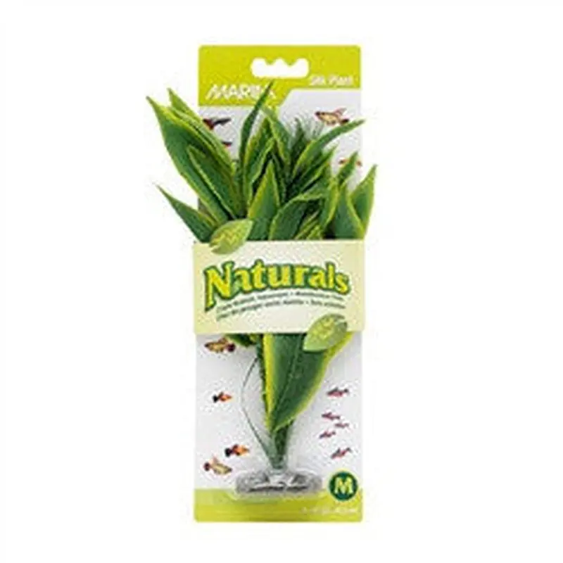 Marina Naturals Green Dracena Silk Plant Medium Pp95