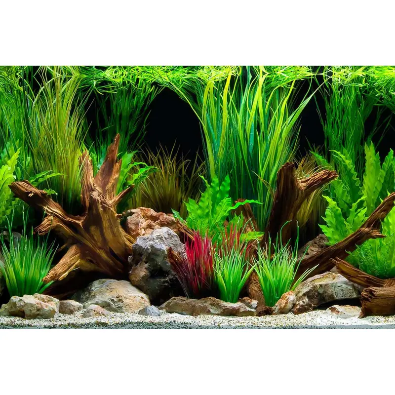 Seaview Double Sided Background Wonderscape & Cloudstone 18 Inches X 50 Feet