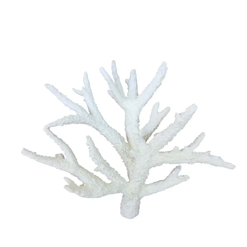 Weco South Pacific Coral Staghorn Ornament White MD