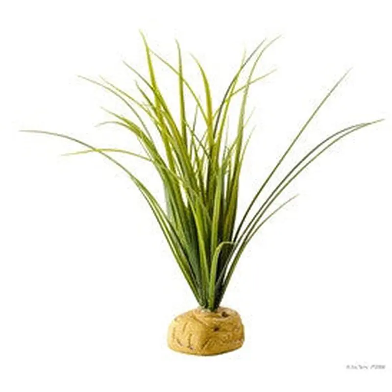 Exo Terra Turtle Grass Pt2996