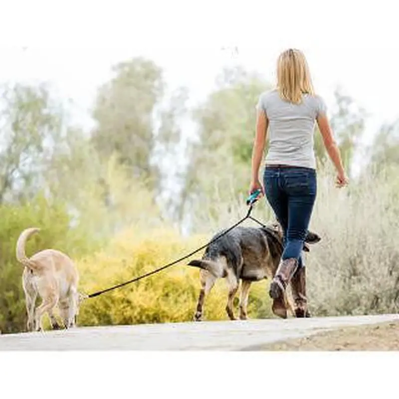 Wigzi Dual Doggie Reflective Rope Gel Handle Leash Medium/Large Black with Blue 