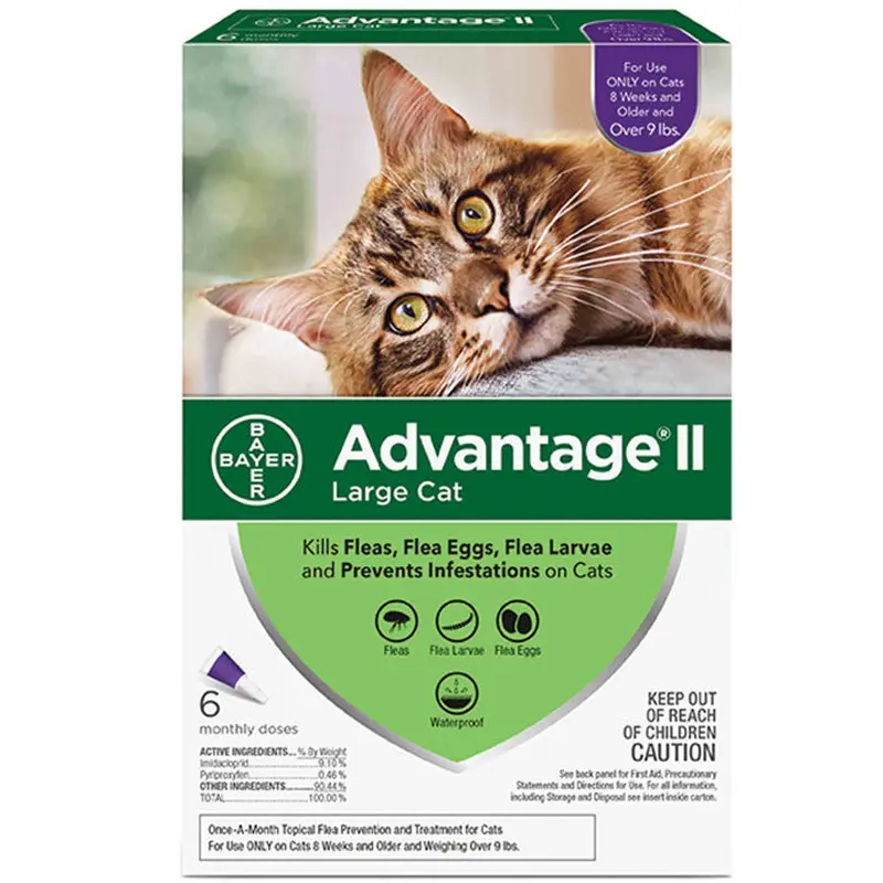 Advantage Ii Cat Large Cat 9+lb Purple 6 Pack