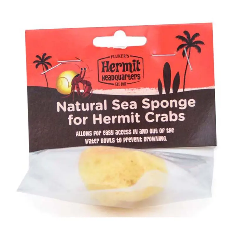 Fluker's Hermit Crab Natural Sea Sponge Yellow