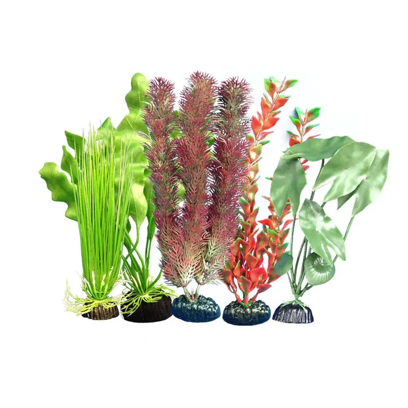 Weco Freshwater Aquarium Plant 105 Assorted Multipack