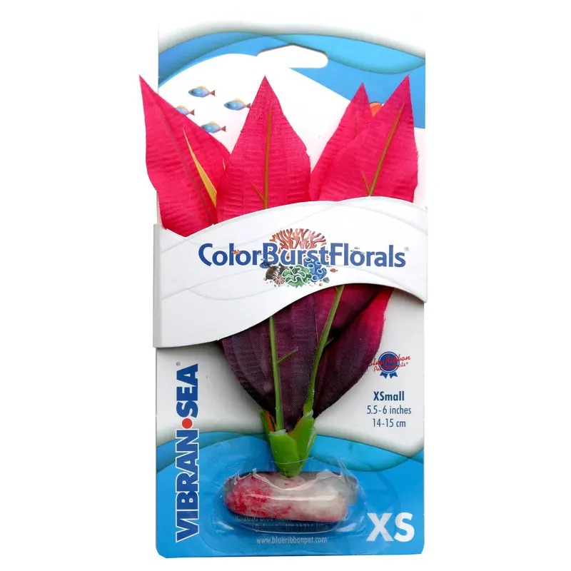 Blue Ribbon Colorburst Florals Amazon Sword Aquarium Plant Red XS