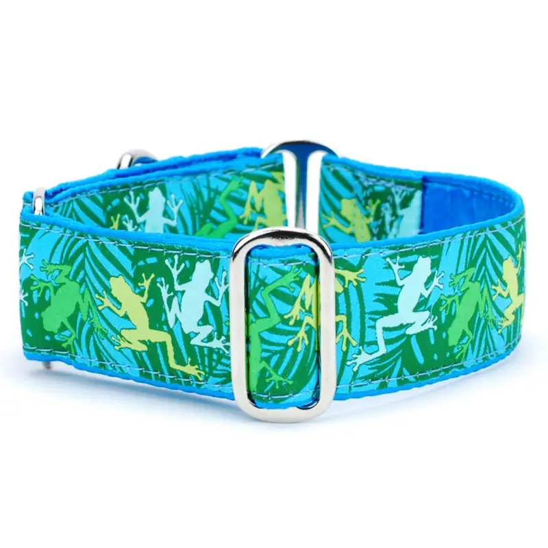 2 Hounds Design Dog Collar - Large  16-20" - Coqui Surf