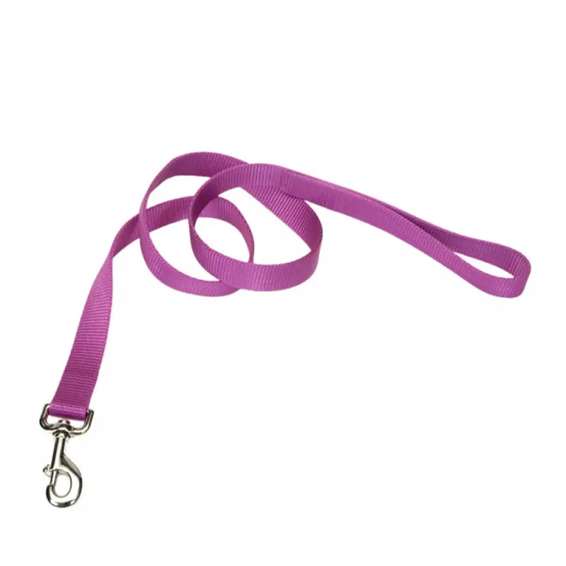 Coastal Single Ply 4ft Long 1in Dog Leash Orchid