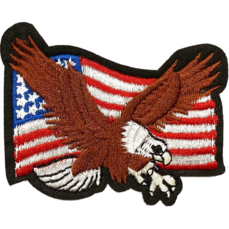 USA Eagle Patch