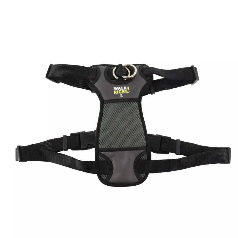 Coastal Walk Right! Front-Connect Large 26-38in No-Pull Padded Dog Harness Black