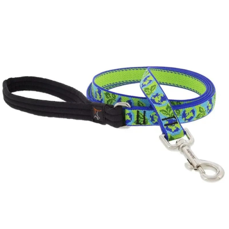 Lupine MicroBatch Limited Designs Dog Leash 3/4" x 6' Earth Day