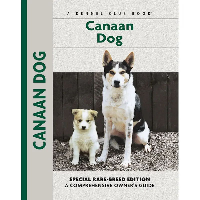 Canaan Dog
