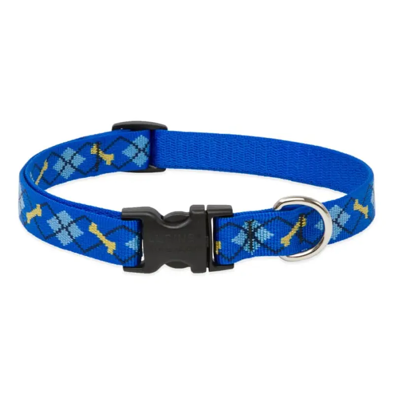 Lupine Pet Dog 3/4 In Wide 15-25 In Adjustable Collar Original Designs Dapper Dog