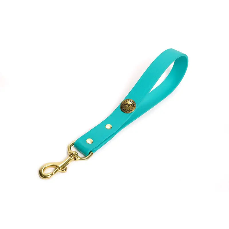 Sporting Dog Training Tab - Teal