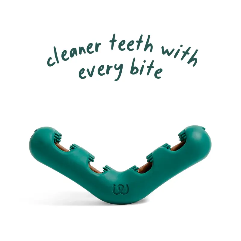 Woof Pet Bite n' Brush Chew Toy