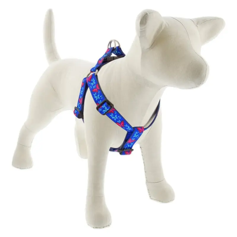 Lupine Pet Dog 1 In Wide 19-28 In Step  In Harness Original Designs Social Butterfly