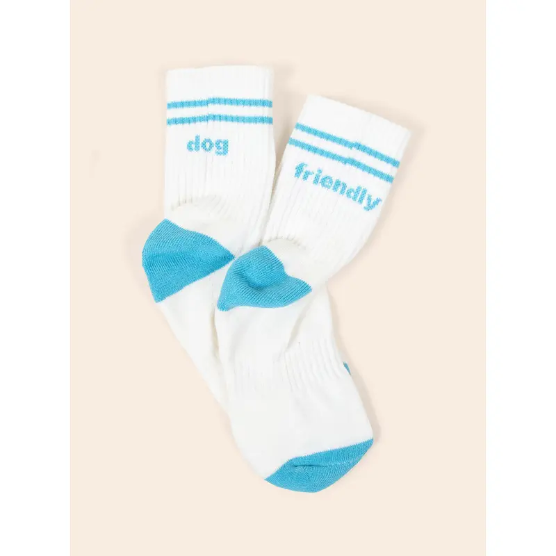 Dog Friendly Sock