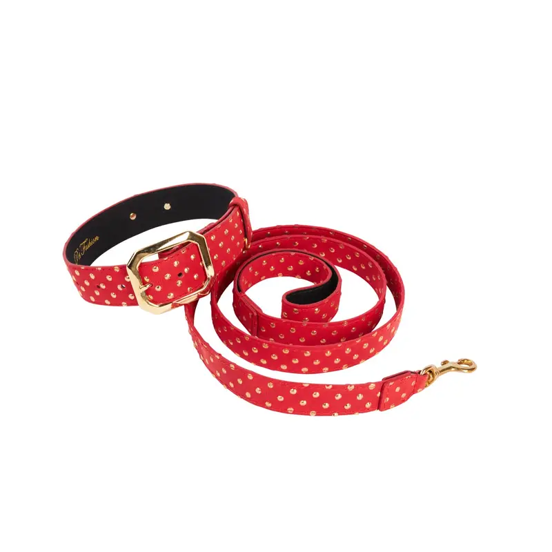 Red & Gold Polka Dot Italian Leather Collar With Modern Italian Hardware