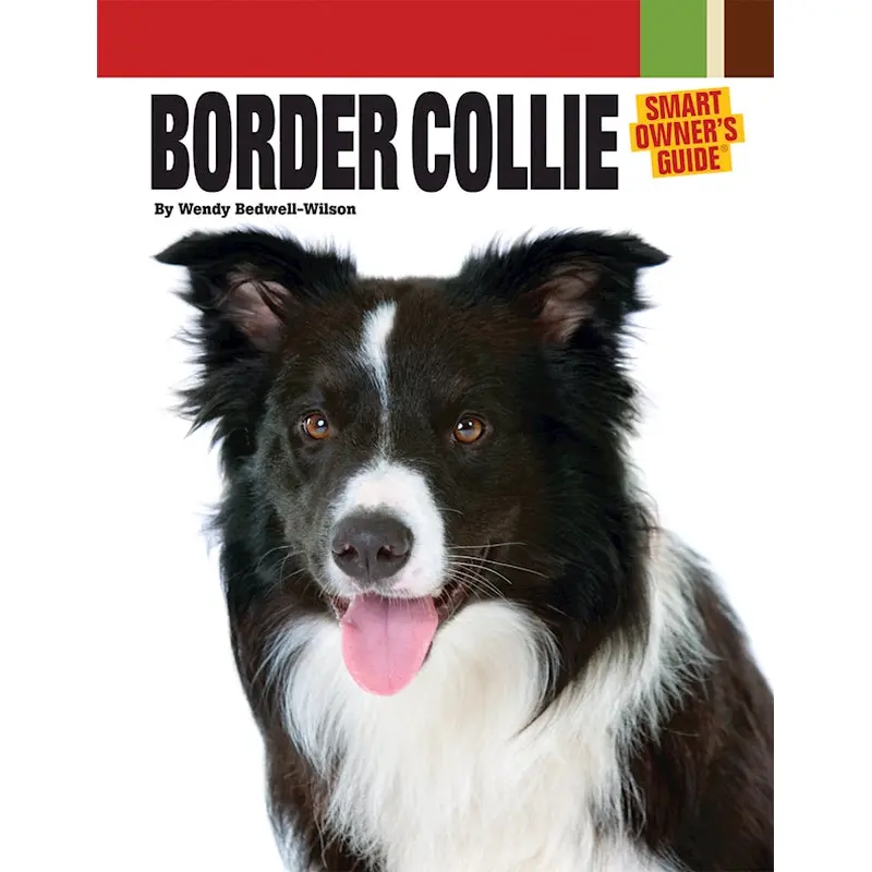 Border Collie | Paperback