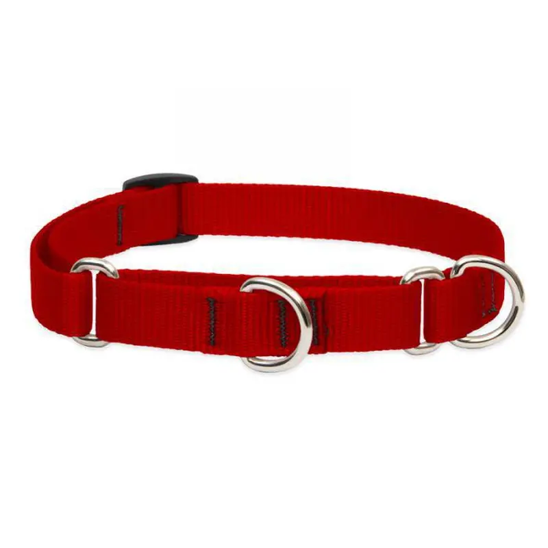 Lupine 3/4in Red 10-14 Martingale Training Collar