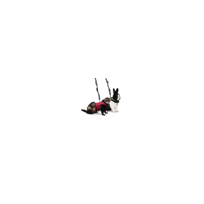 TopDawg Pet Supply Comfort Harness-leash - md