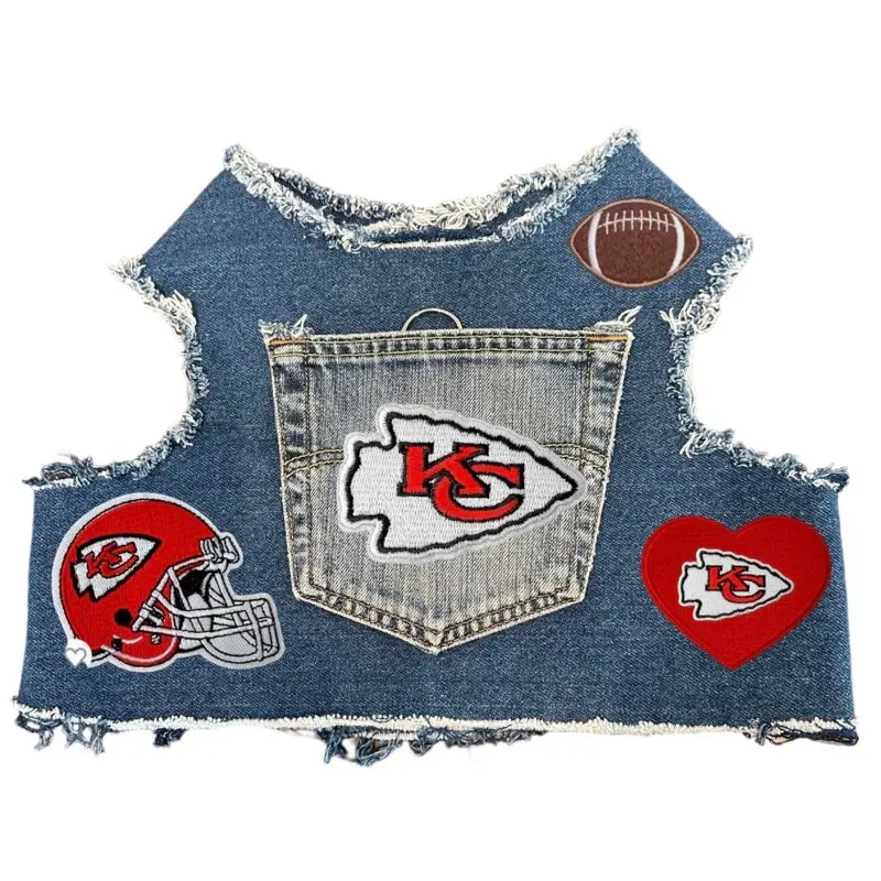 Football Harness