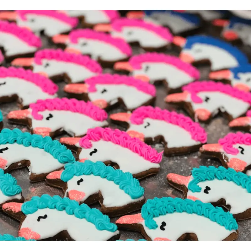 Unicorn Horse Treats