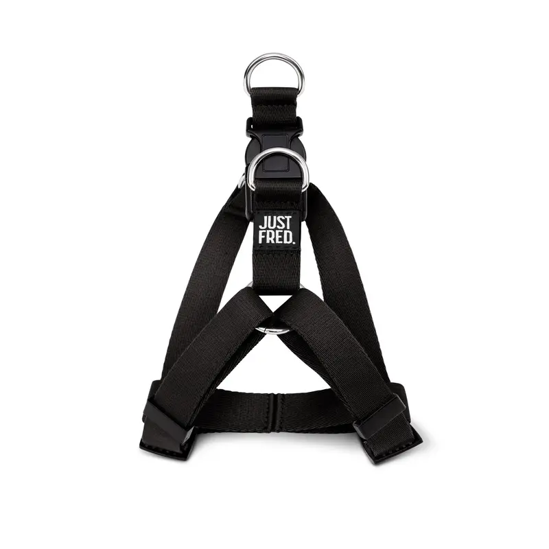 Step In Harness