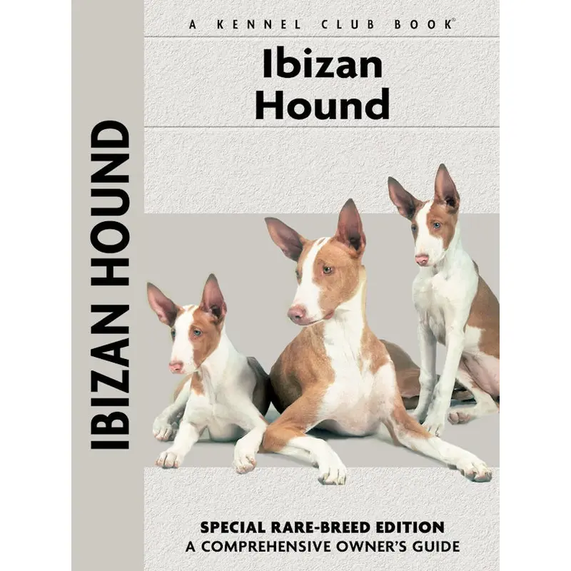 Ibizan Hound