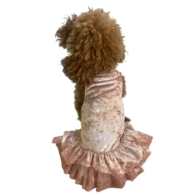 Crushing on YOU Metallic Velvet Dog Dress, Blush