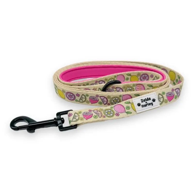 Pink Lemonade Leash