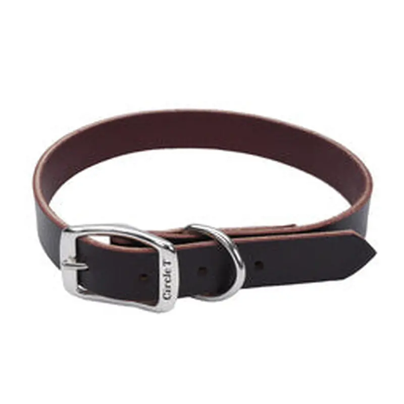Coastal Circle T 3/8in Wide 12in  Leather Town Dog Collar, Latigo