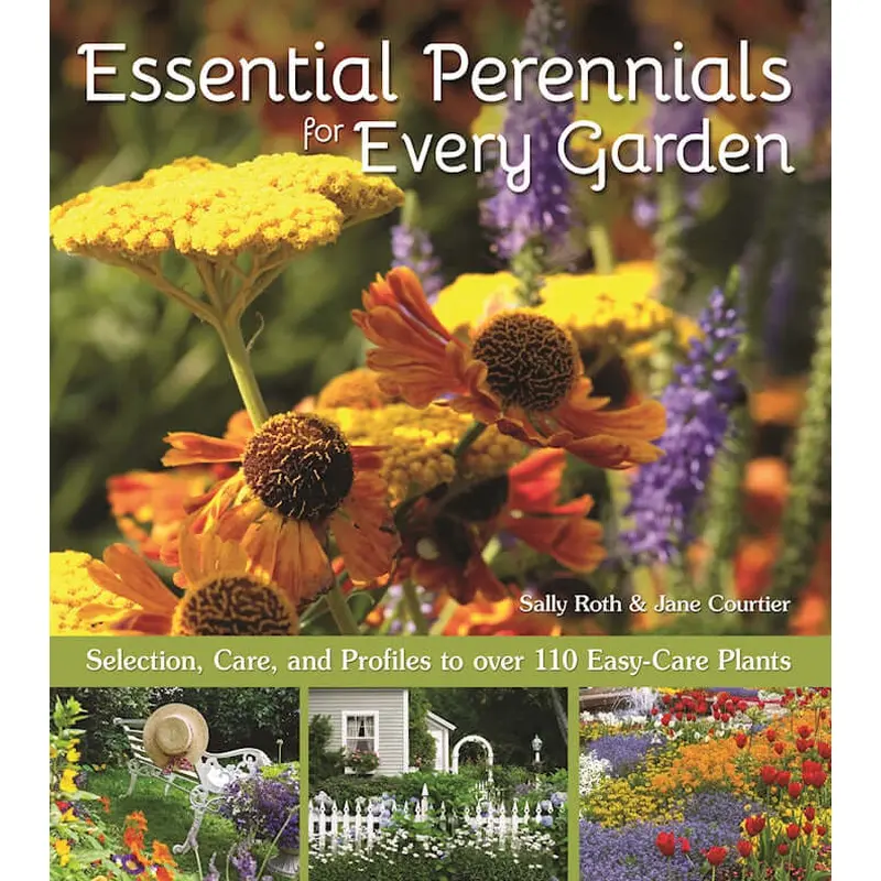 Essential Perennials for Every Garden