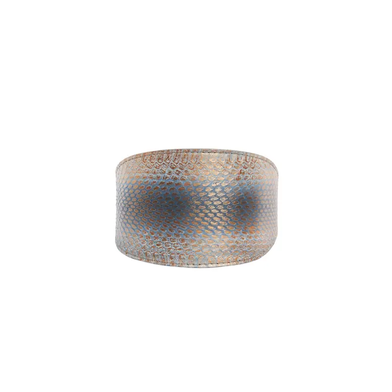 Luxury Pet Fashion Baby Blue/Blue/Bronze 4 Wide Snake Collar