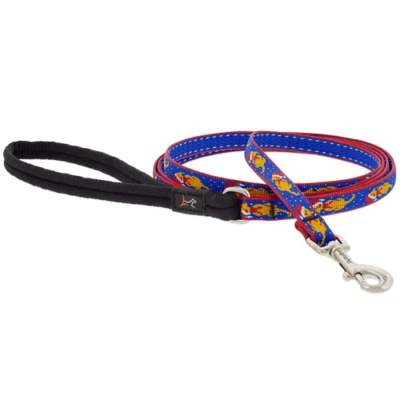 MicroBatch Limited Designs Dog Leash 1" x 6' Snow Pup