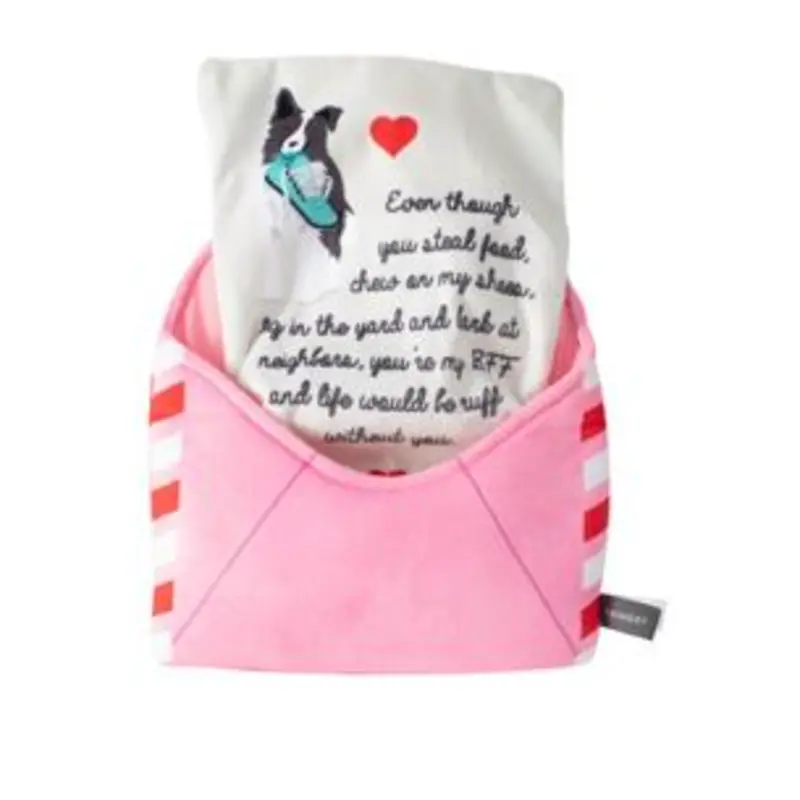 Fringe Just Write For Me Plush Dog Toy