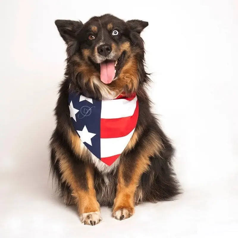 American Flag Dog Bandana by Dog Fashion Living