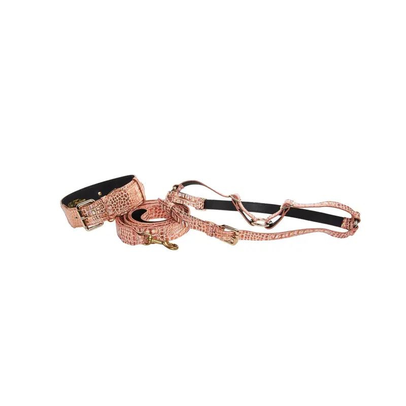 Copper Embossed Croc Italian Leather With Classic Collar, Leash & Harness